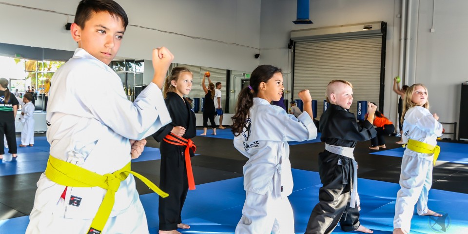 Curtis Karate – Temecula Murrieta