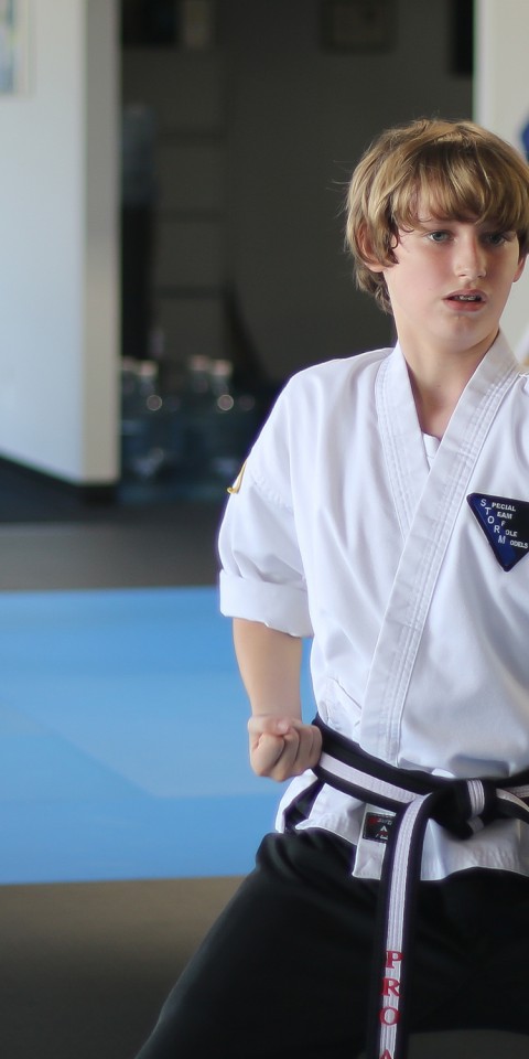 Curtis Karate – Temecula Murrieta